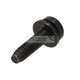 PAN-HEAD SCREW